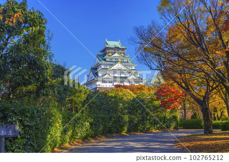 大阪天守閣，紅葉季節，從西之丸庭園眺望 102765212