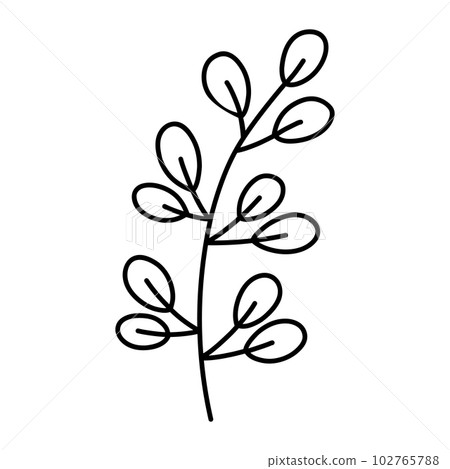 Cute branch with leaves isolated on white Cute branch with leaves isolated on white 102765788