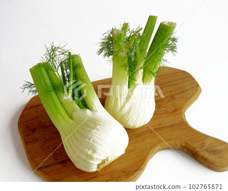 健康的意大利蔬菜茴香 Fennel 健康的意大利蔬菜茴香 Fennel 102765871