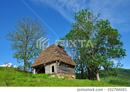 Wooden stable with thatched roof 102766081