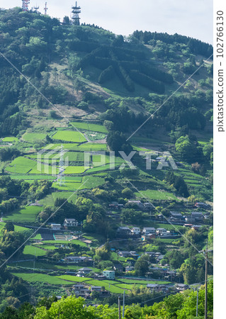 "Shizuoka Prefecture" Scenery of tea plantations in early summer, tea characters of Mt. Awagatake 102766130