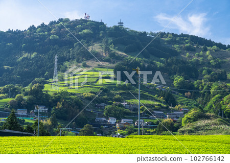 "Shizuoka Prefecture" Scenery of tea plantations in early summer, tea characters of Mt. Awagatake 102766142
