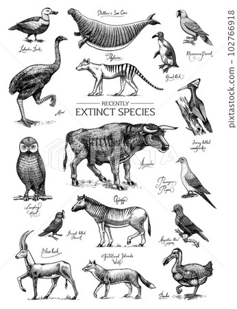 Extinct species. Wild mammal animals and birds. Dodo, Moa, Tasmanian wolf, Quagga. Aurochs. Blue Extinct species. Wild mammal animals and birds. Dodo, Moa, Tasmanian wolf, Quagga. Aurochs. Blue 102766918