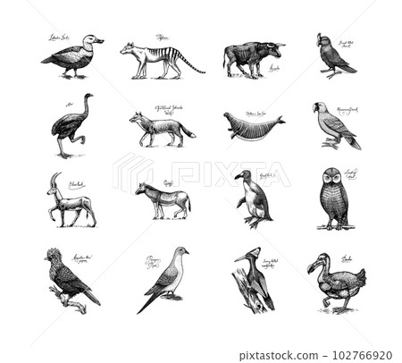 Extinct species. Wild mammal animals and birds. Dodo, Moa, Tasmanian wolf, Quagga. Aurochs. Blue Extinct species. Wild mammal animals and birds. Dodo, Moa, Tasmanian wolf, Quagga. Aurochs. Blue 102766920
