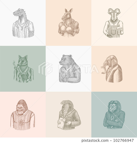 Grizzly Bear, Octopus, t-rex dinosaur, Elephant, Indian cobra snake, Fox with a smoking pipe, lion Grizzly Bear, Octopus, t-rex dinosaur, Elephant, Indian cobra snake, Fox with a smoking pipe, lion 102766947