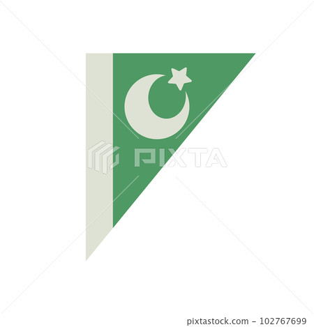 Pakistan flag triangular 102767699