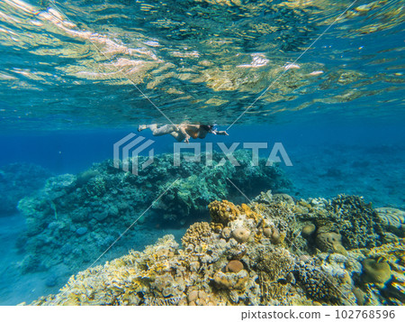 Woman snorkeling underwater above coral reef 102768596