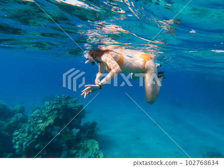 Woman snorkeling above coral reef 102768634