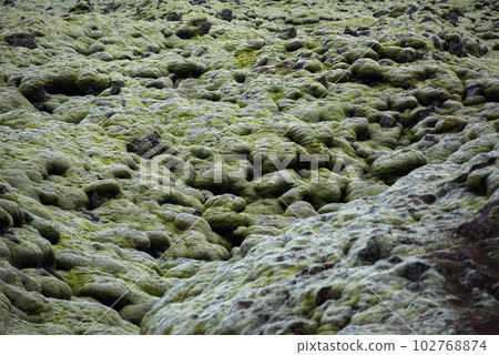 Moss covered lava field, Eldhraun, Iceland Moss covered lava field, Eldhraun, Iceland 102768874