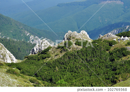 Limestone ridge, Iorgovanului cliff in Retezat mountain, Romania 102769368