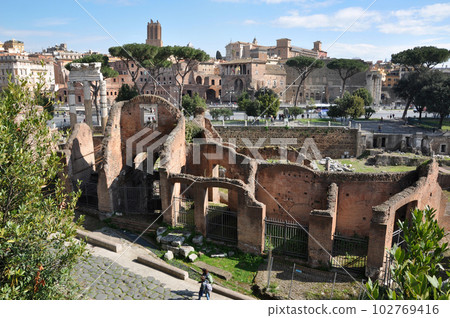 Archaeological excavations in the Roman Forum, Rome, Italy 102769416