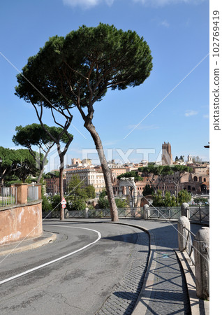 Archaeological excavations in the Roman Forum, Rome, Italy Archaeological excavations in the Roman Forum, Rome, Italy 102769419