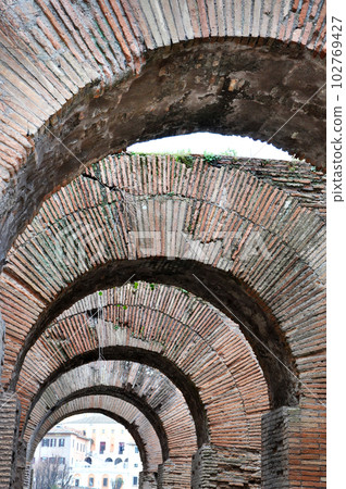 Archaeological excavations in the Roman Forum, Rome, Italy 102769427