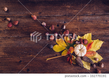Autumn still life arrangement Autumn still life arrangement 102770191