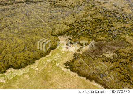 Aerial view of Eldhraun lava field in Iceland Aerial view of Eldhraun lava field in Iceland 102770220