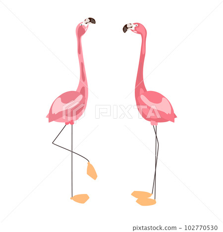 Set pink flamingo bird on white background Set pink flamingo bird on white background 102770530