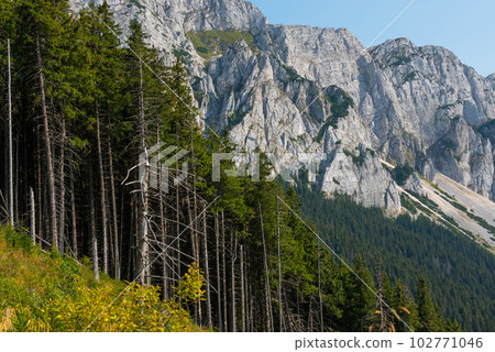 Limestone mountains. Southern Carpathians, Romania Limestone mountains. Southern Carpathians, Romania 102771046