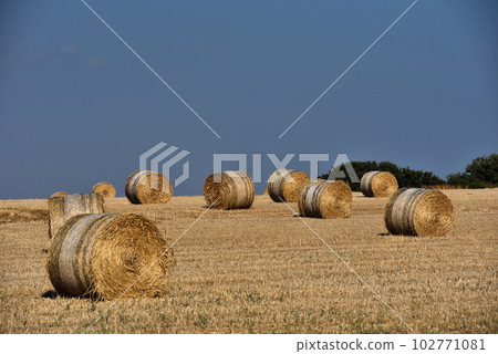 Straw bales on farmland with blue sky 102771081