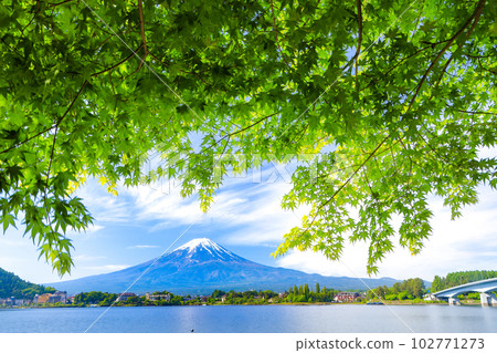 Fresh greenery of Lake Kawaguchiko and Mt. Fuji Kawaguchiko Town, Yamanashi Prefecture Fresh greenery of Lake Kawaguchiko and Mt. Fuji Kawaguchiko Town, Yamanashi Prefecture 102771273