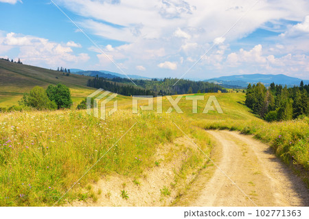 lane through grassy meadow. green hills rolling in to the distance. blue sky above the distant mountain ridge on the horizon. rural tourism in summer. explore countryside of ukraine lane through grassy meadow. green hills rolling in to the distance. blue sky above the distant mountain ridge on the horizon. rural tourism in summer. explore countryside of ukraine 102771363