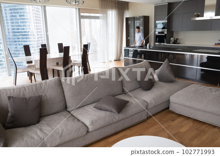 Elegant interior of modern urban apartment with large window Elegant interior of modern urban apartment with large window 102771993