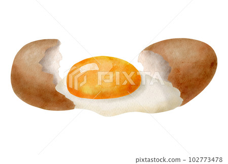 Watercolor broken egg illustration. Hand drawn brown eggshells with yolk and glair isolated on white background. Cooking and baking natural organic eco ingredient for recipes, menu, packaging design. Watercolor broken egg illustration. Hand drawn brown eggshells with yolk and glair isolated on white background. Cooking and baking natural organic eco ingredient for recipes, menu, packaging design. 102773478