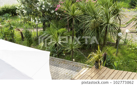 Botanical garden with tropical plants, yucca palms and blooming pink and white flower bushes landscaped and greenery concept 102773862