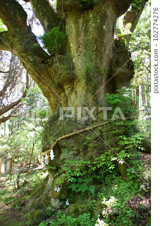 Momiyama Hachiman Shrine Momiyama Hachiman Shrine 102774276