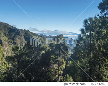View over lush green landscape of national park Garajonay on La Gomera. In the background the island Tenerife with the Volcano Pico de Teide. Canary Islands, Spain. Blue sky, copy space. 102774282