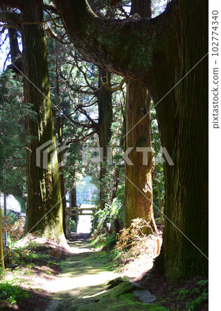 Momiyama Hachiman Shrine 102774340