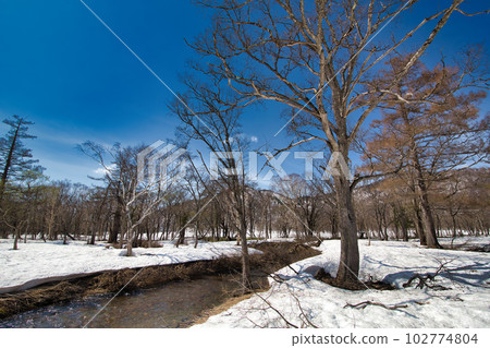 積雪殘留的尾瀨 積雪殘留的尾瀨 102774804