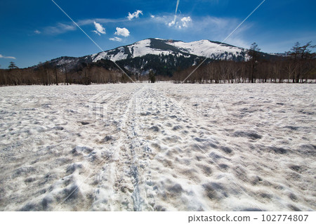 積雪殘留的尾瀨 積雪殘留的尾瀨 102774807