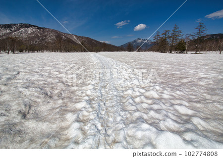 Oze where the snow remains Oze where the snow remains 102774808