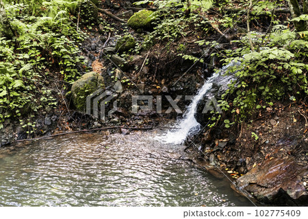 small waterfall from a mountain river in the summer forest landcape beauty in nature small waterfall from a mountain river in the summer forest landcape beauty in nature 102775409