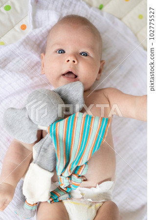 Cute baby boy playing with hanging toys arch on mat at home Baby activity and play center for early infant development. Baby playing at home. 102775527