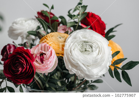 Floral arrangments of tender ranunculus flowers 102775907
