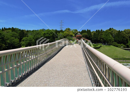 孩子們降落在陽光橋上 孩子們降落在陽光橋上 102776193