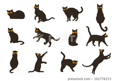 Vector icon black cat sitting. Silhouette of a cat isolated on a