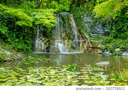 A pond with a waterfall surrounded by fresh greenery ~ Hamanako Garden Park 102778021