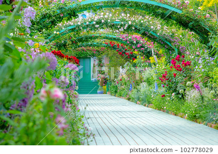 Small path through the rose arch ~ Hamanako Garden Park 102778029