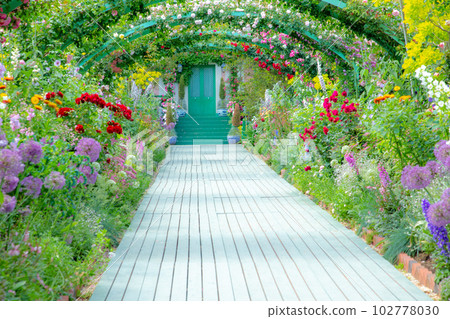 穿過玫瑰拱門的小路~濱名湖花園公園 穿過玫瑰拱門的小路~濱名湖花園公園 102778030