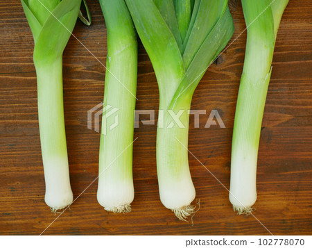 Leek farm close-up bio leaf wood background detail farmer green field leke crops white, farming garden leaves organic Allium ampeloprasum porrum fresh lek stem growing stalk ripe vegetable Europe Leek farm close-up bio leaf wood background detail farmer green field leke crops white, farming garden leaves organic Allium ampeloprasum porrum fresh lek stem growing stalk ripe vegetable Europe 102778070