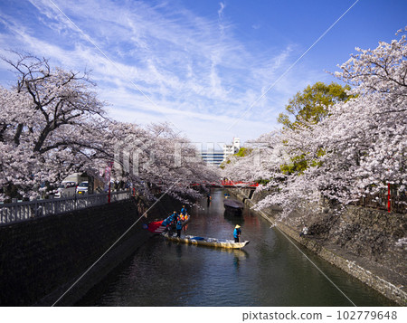 大垣市Mizumonkawa 102779648