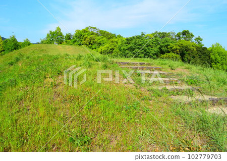 [國家史蹟]大谷古墳 102779703