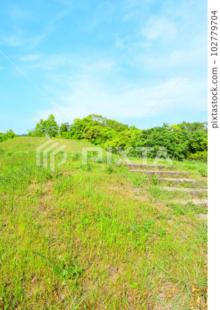 [National Historic Site] Otani Burial Mound 102779704