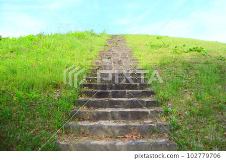 [National Historic Site] Otani Burial Mound 102779706