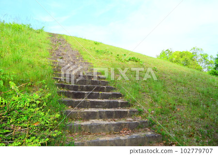 [National Historic Site] Otani Burial Mound 102779707