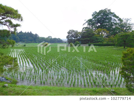 京都修學院離宮田園風光 102779714