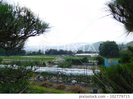 Kyoto Shugakuin Imperial Villa Rural scenery Kyoto Shugakuin Imperial Villa Rural scenery 102779715