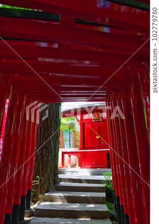 赤坂王子稻荷神社(東京都港區) 赤坂王子稻荷神社(東京都港區) 102779780
